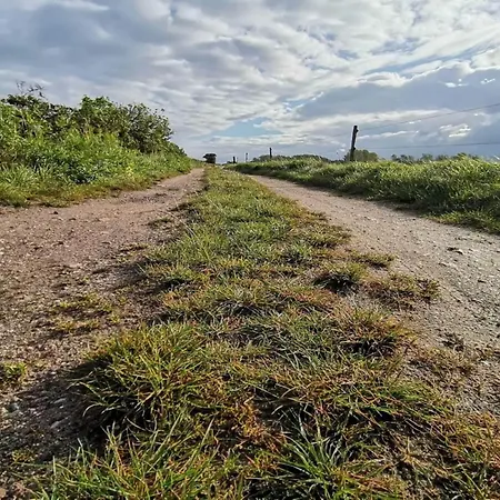 Luxury House With Pool - By Traum 度假居 *