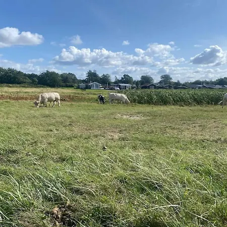 Luxury House With Pool - By Traum 诺德堡