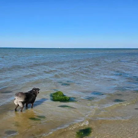 Luxury House With Pool - By Traum