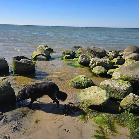 Luxury House With Pool - By Traum 度假居 诺德堡
