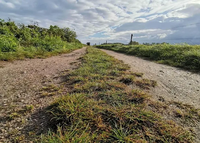 Luxury House With Pool - By Traum Casa de Férias *