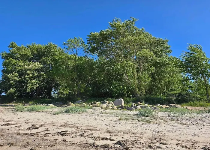 Casa de Férias Luxury House With Pool - By Traum *