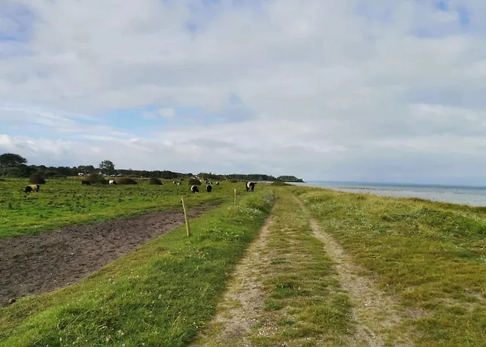 Casa de Férias Luxury House With Pool - By Traum