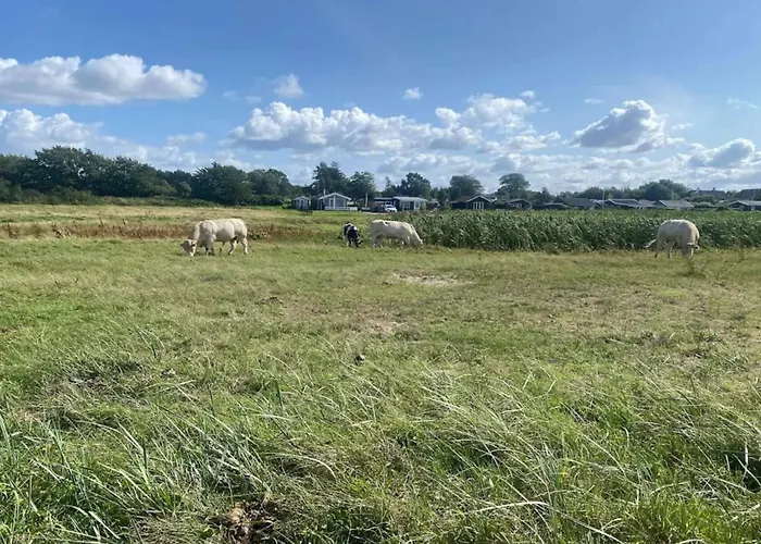 Luxury House With Pool - By Traum Nordborg