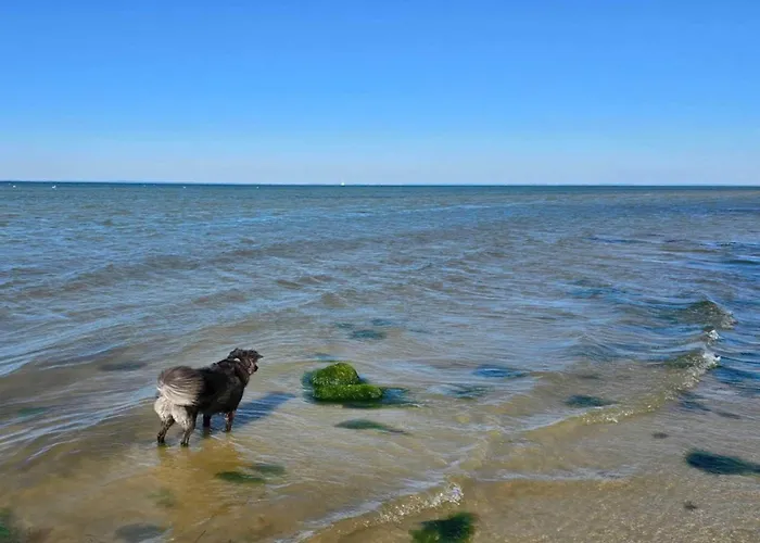 Luxury House With Pool - By Traum