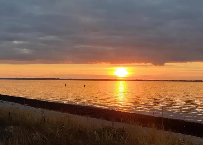 Casa de Férias Luxury House With Pool - By Traum Nordborg