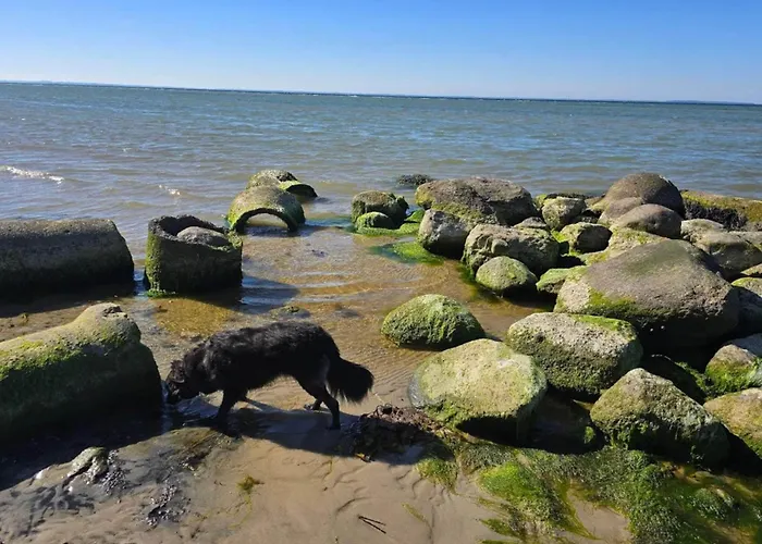 Luxury House With Pool - By Traum Casa de Férias Nordborg